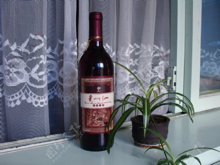 刺梨干红酒图片