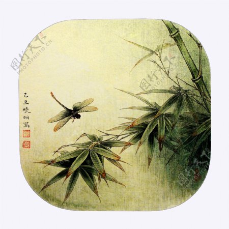 蜻蜓翠竹图图片