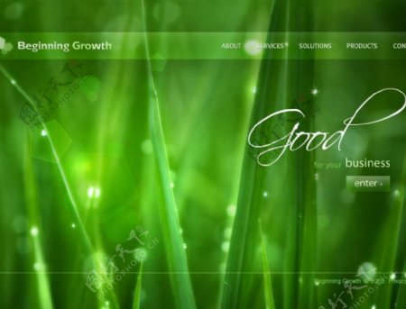 清新绿色植物网页动画模板