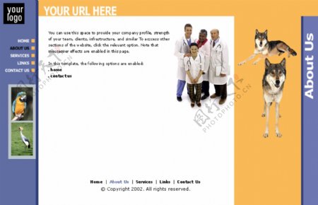 欧美动物医院网站模板