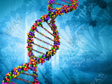 DNA基因生物高科技