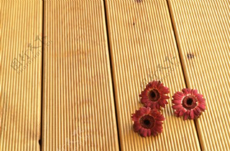 竹垫上的菊花图片