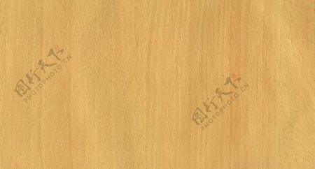 榉木34木纹木纹板材木质