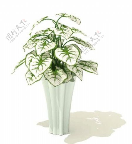 植物盆栽室内装饰素材免费下载盆栽3d模型免费下载171