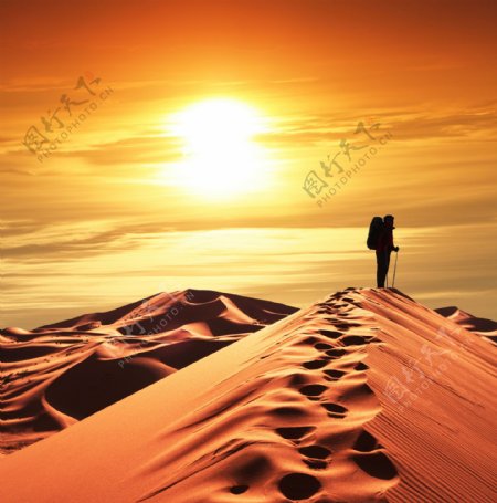 黄昏沙漠背影图片素材