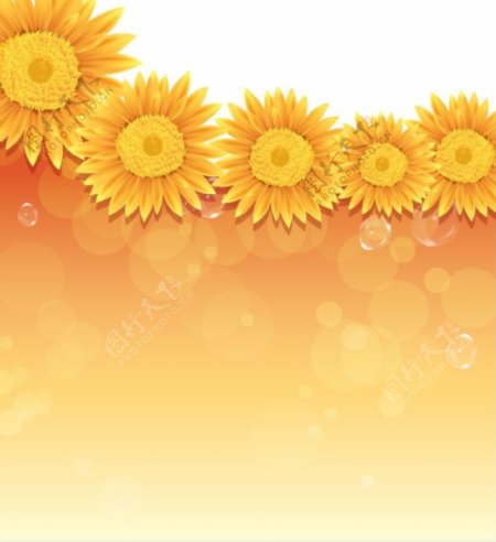玻璃移门张氏图片黄色背景向日葵花朵