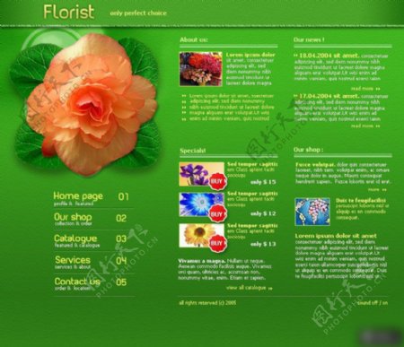 鲜花摄影展示网页设计