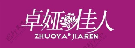卓娅佳人logo图片