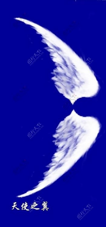 ps分层天使之翼图片