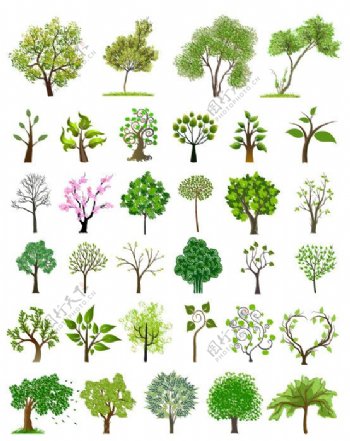 园林绿化树木矢量素材园林绿化植物