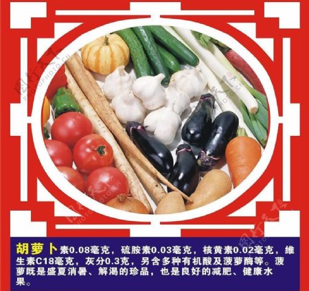 水果蔬菜营养介绍图片