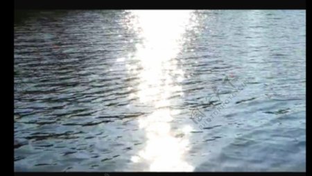 阳光水面视频素材