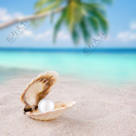 创意海滩背景素材图片
