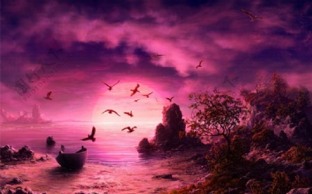 紫色高清图片动物图浪漫艺术夕阳图