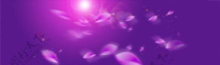 紫色梦幻花瓣飘落背景PSD分层素材