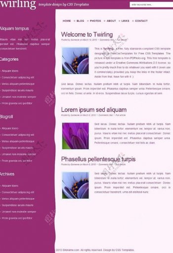 紫色波动blog网页图片