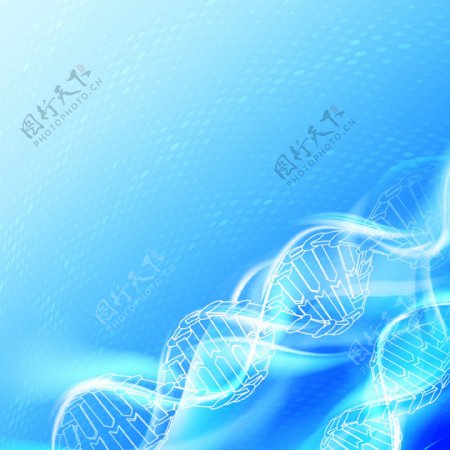 DNA分子解析图矢量图