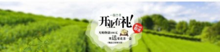 淘宝茶叶店开业促销海报psd图片