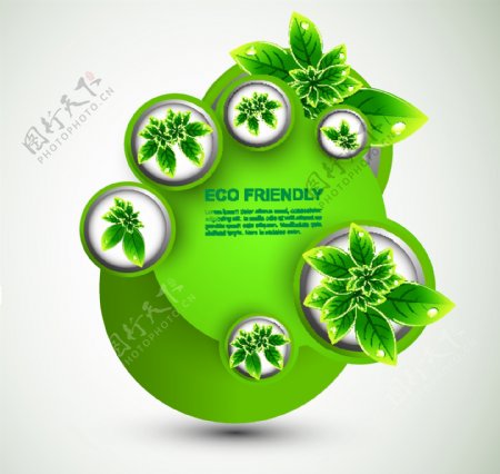 绿叶水珠水滴绿色环保背景图片