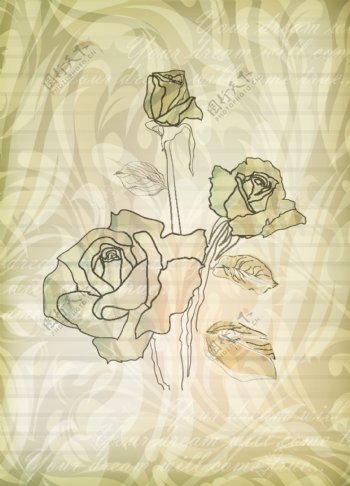 淡雅玫瑰花纹背景矢量素材
