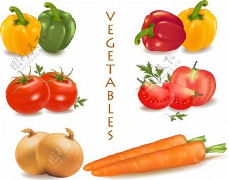 日常生活水果蔬菜矢量素材