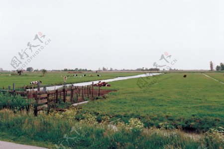 比利时国外外国风光风景草原草地大自然风车广告素材大辞典