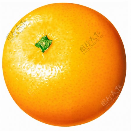 橘子特写橘子标本橘子素材