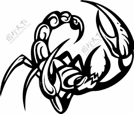印花矢量图动物毒蝎子色彩黑白色免费素材