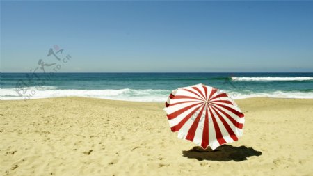 美丽海滩上的遮阳伞图片