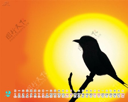 2009年日历模板2009年台历psd模板放飞青春自然和谐全套共13张含封面
