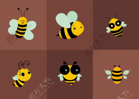 蜂蜜设计图