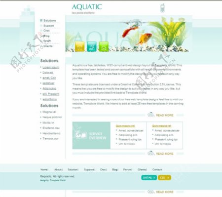国外金鱼养殖网站模版