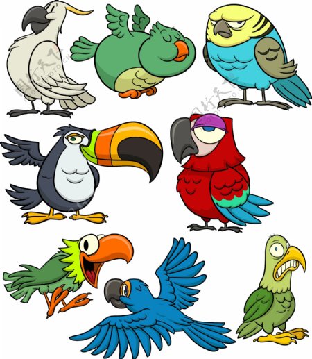 八种鹦鹉卡通