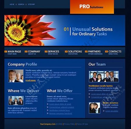PRO解决方案网站模板