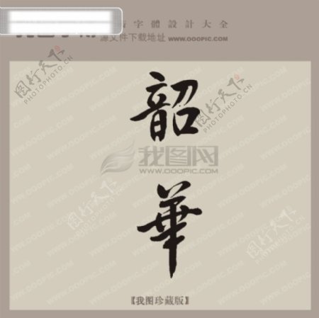 韶华中文古典书法艺术字设计