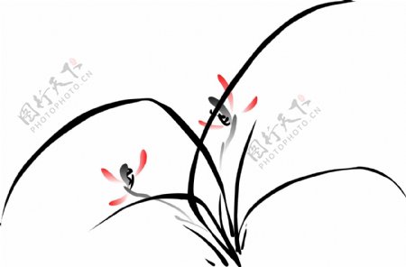 梅兰菊竹图片