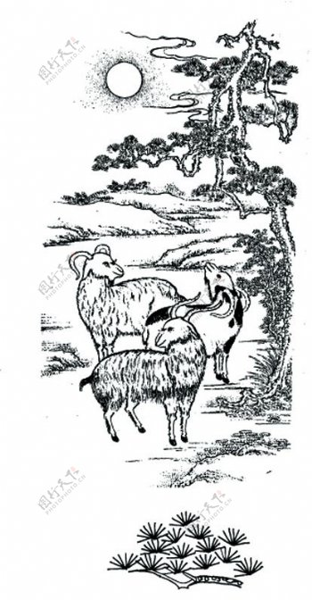 羊群图案