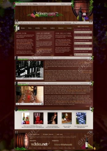 红酒网站设计模板psd素材