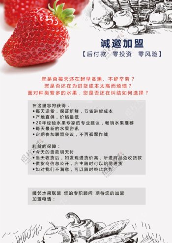 水果草莓加盟宣传单页
