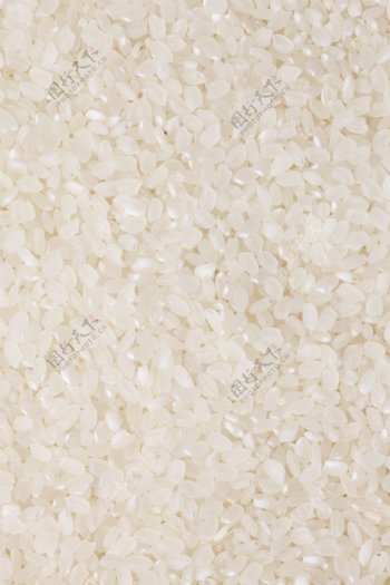 米粮食图片