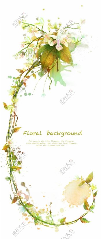 花卉植物藤蔓装饰背景