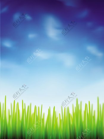 矢量蓝天白云下的草丛背景