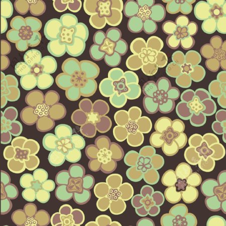 无缝的花卉图案的纹理的雏菊花