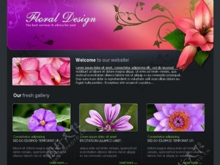 欧美花卉网站图片
