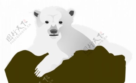 北极熊的矢量图像