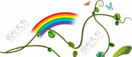 植物与彩虹
