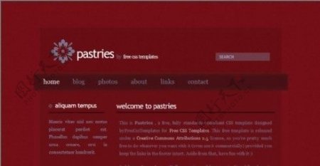 红色设计BLOG网页模板