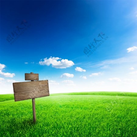 蓝天白云草地与小木牌图片
