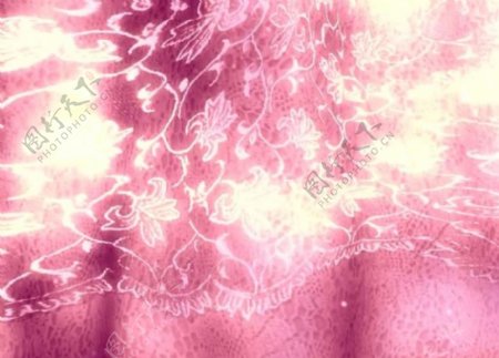 粉色背景花纹视频素材图片