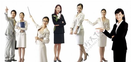 商务职业女美女人物商业人物工作人员韩国人物性人物